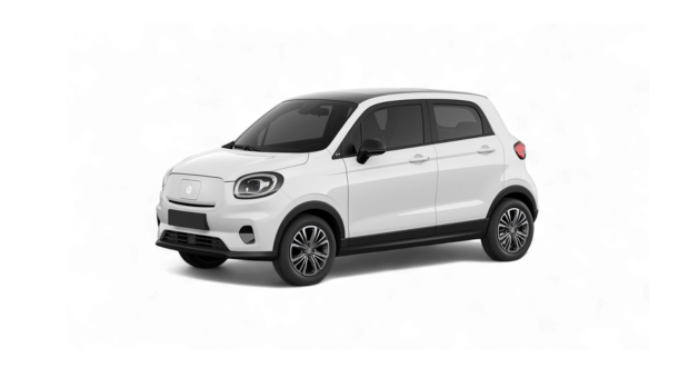 176613088275318C1 (1)